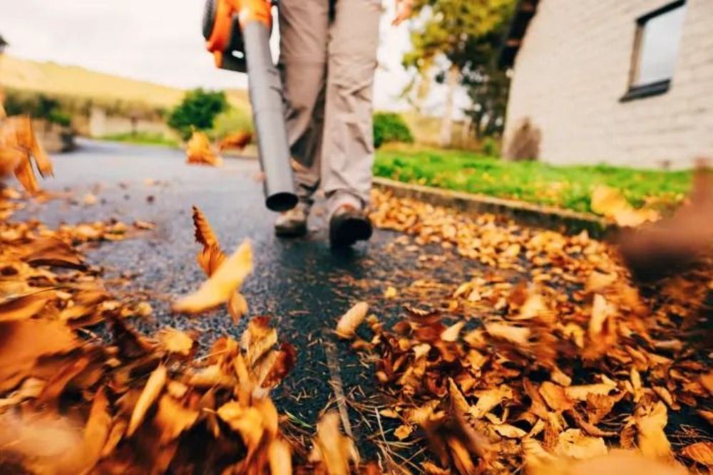 A person walks along a street covered with fallen leaves, surrounded by trees in autumn colors.