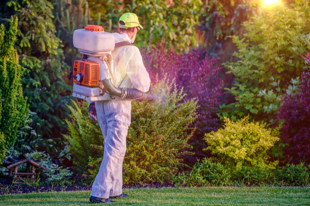A man wearing a backpack uses a sprayer while standing in a grassy field, focused on his task.