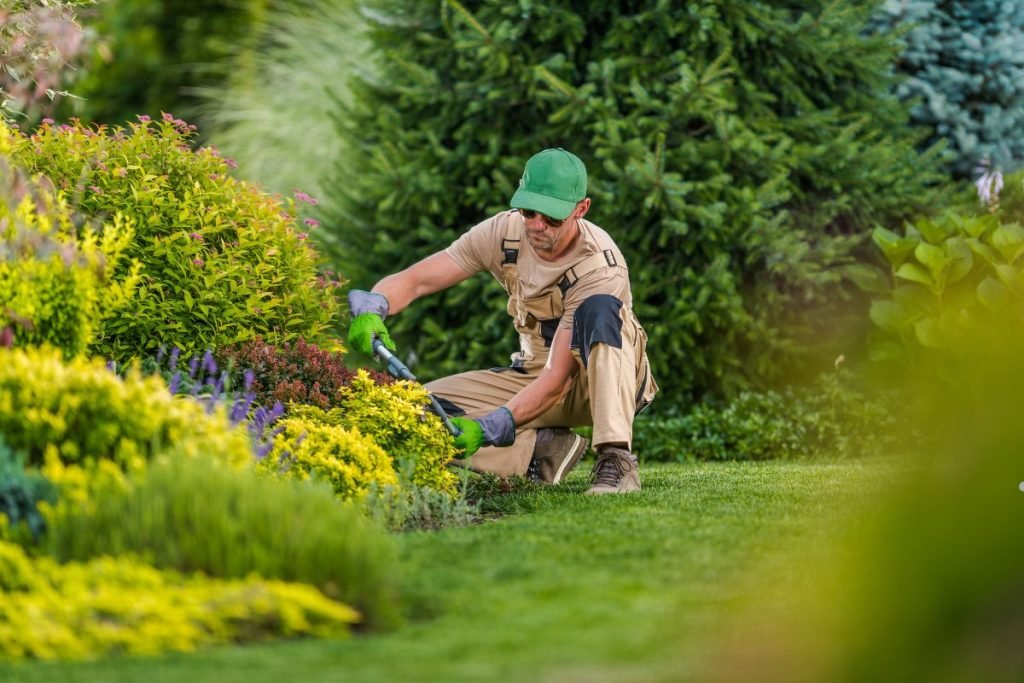 Summer Maintenance Tips for a Healthy Yard 