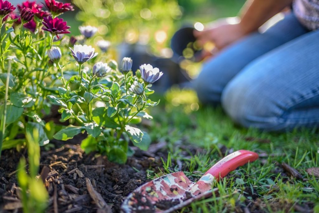 Spring Yard Clean Up Essentials