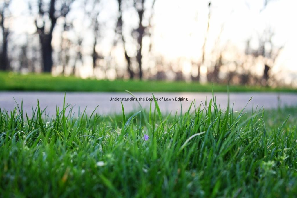 Understanding the Basics of Lawn Edging