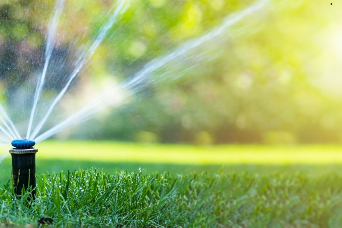 A garden sprinkler sprays water across lush green grass under bright sunlight, creating a refreshing scene.