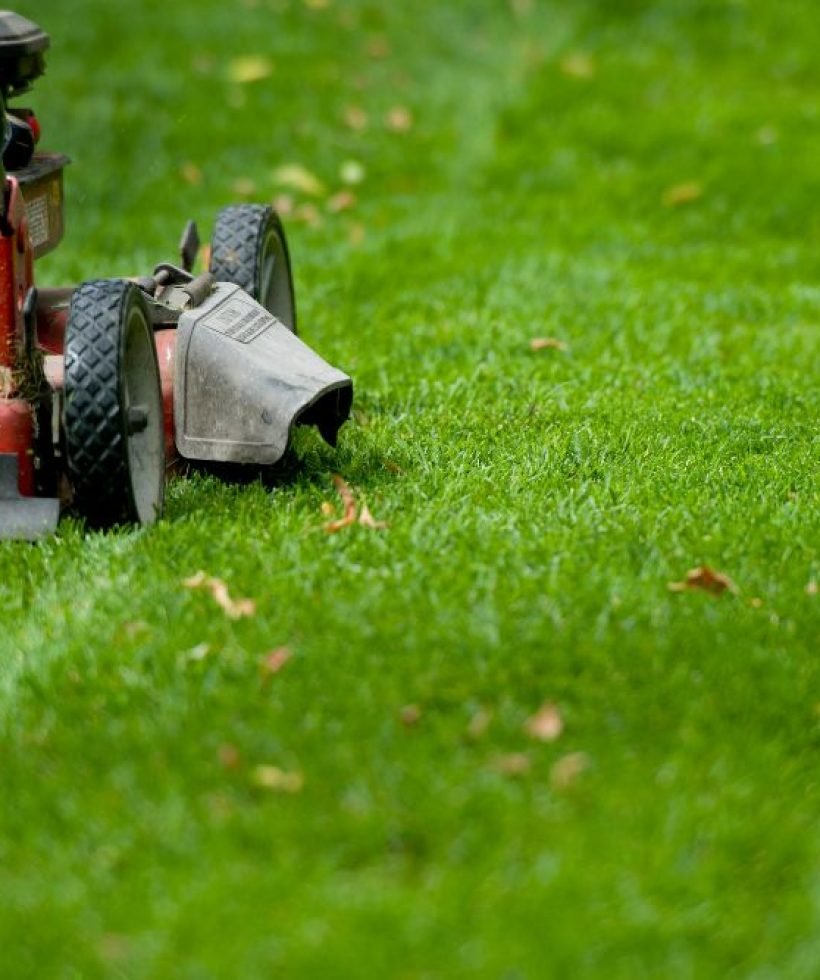 A lawn mower is actively cutting grass in a well-maintained yard under clear blue skies.