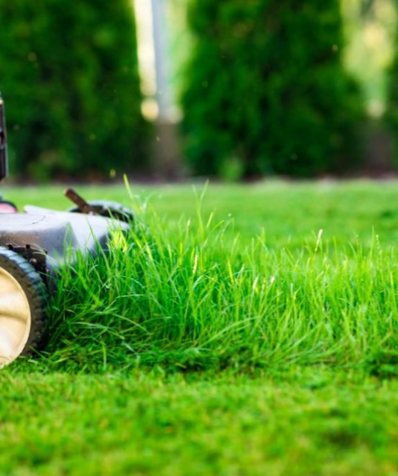 A lawn mower trims grass in a yard, highlighting the process of lawn care and maintenance in a residential setting.